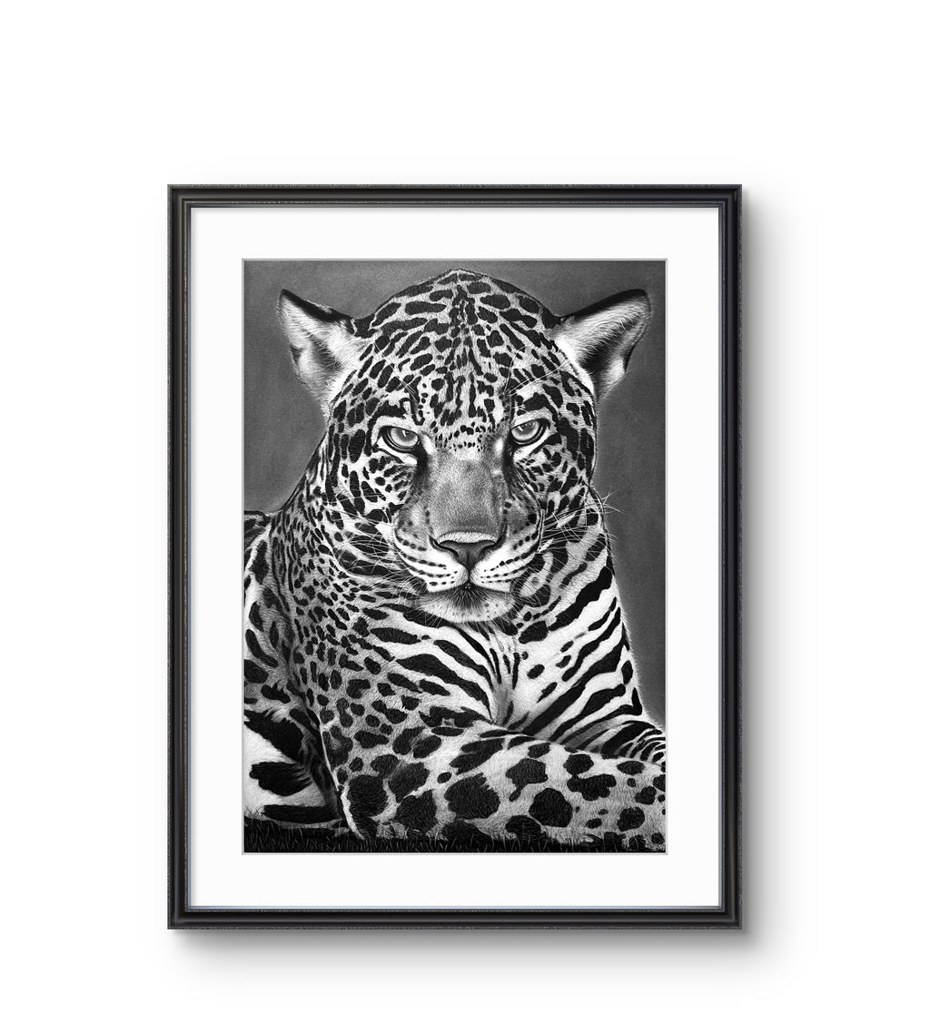 Leopard -  Giclee Print