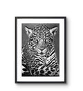 Leopard -  Giclee Print