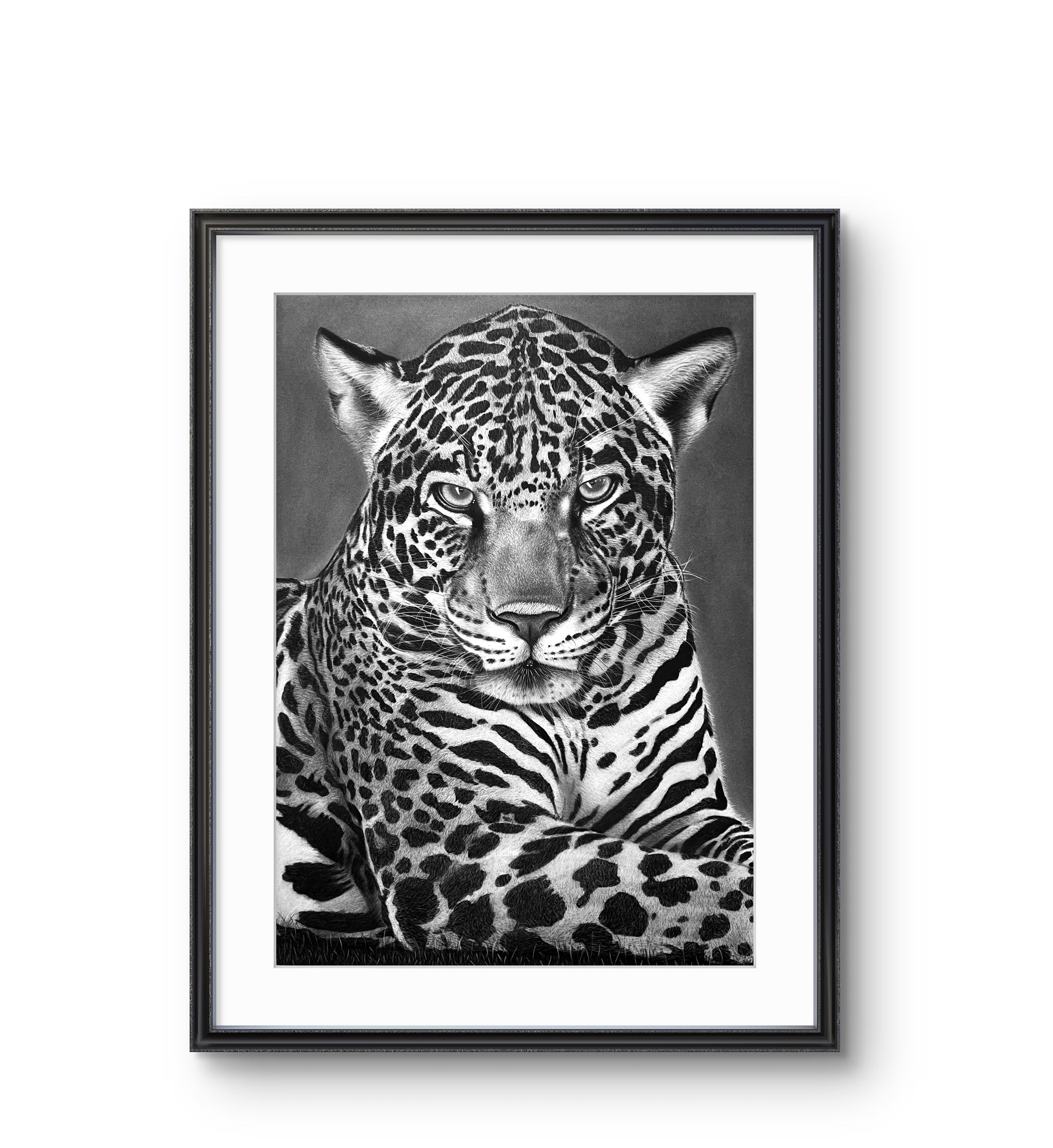 Leopard -  Giclee Print