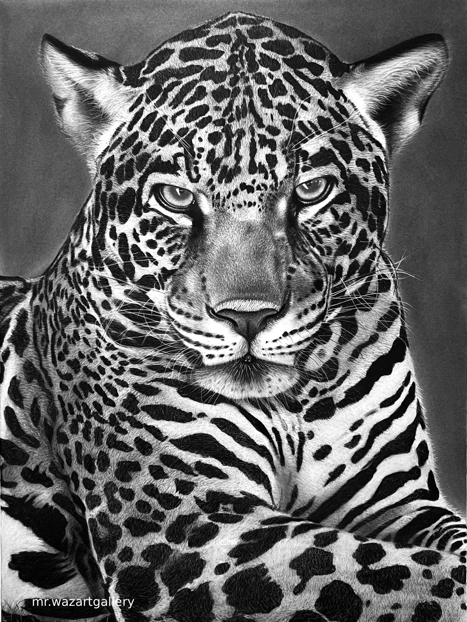 Leopard -  Giclee Print